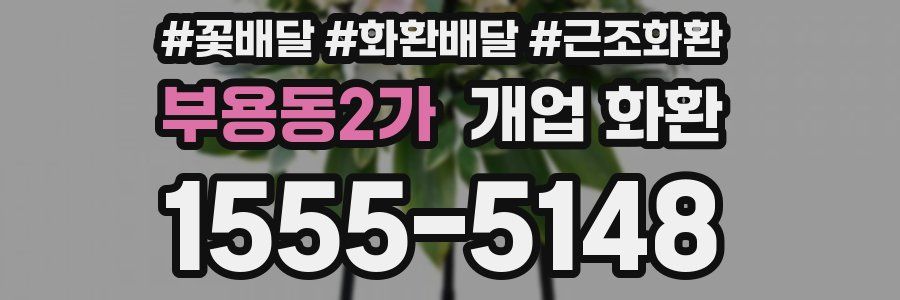 부용동2가 개업 화환