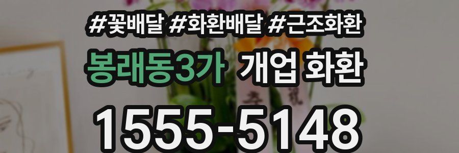 봉래동3가 개업 화환