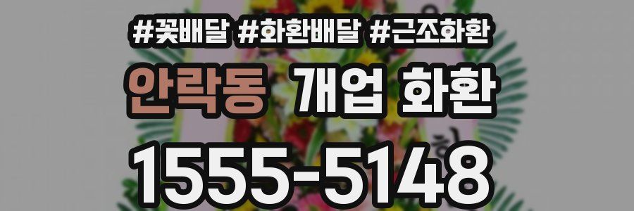 안락동 개업 화환