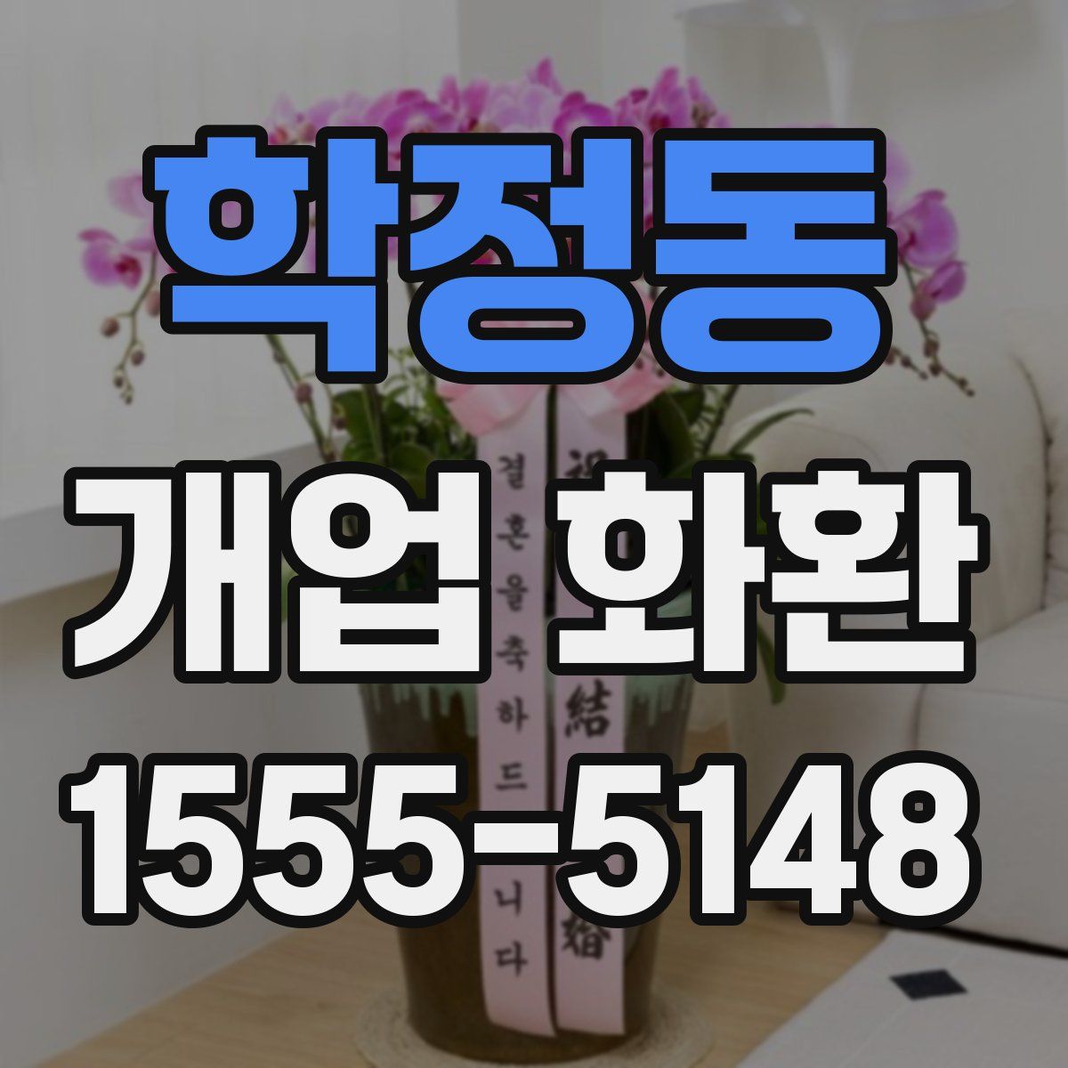 학정동 개업 화환