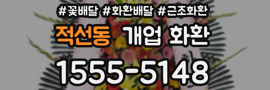 적선동 개업 화환