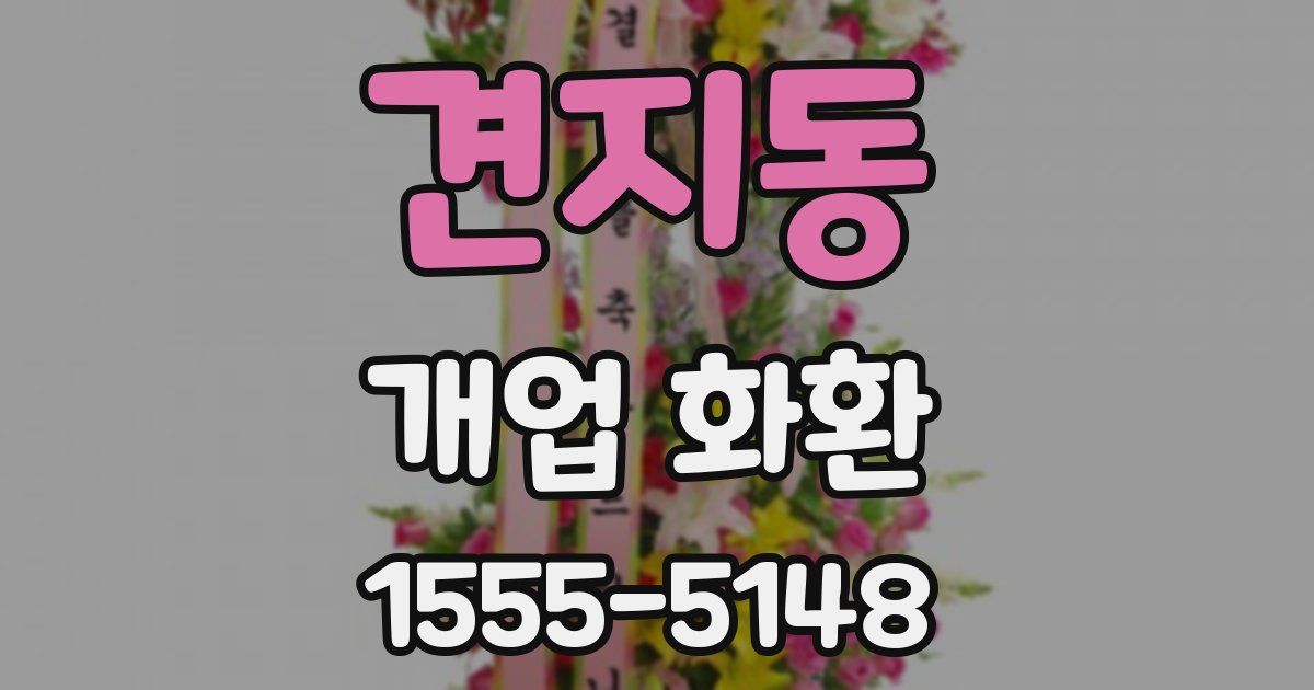 견지동 개업 화환