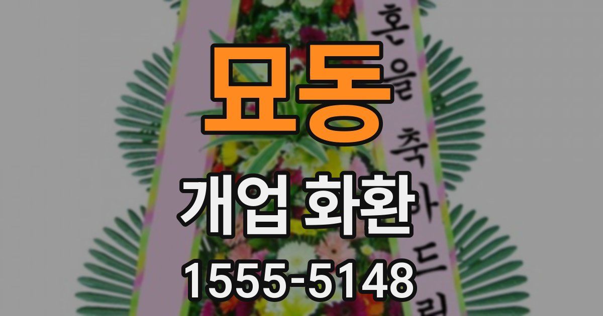 묘동 개업 화환