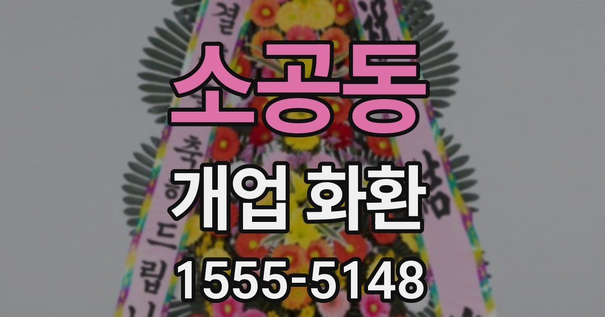 소공동 개업 화환