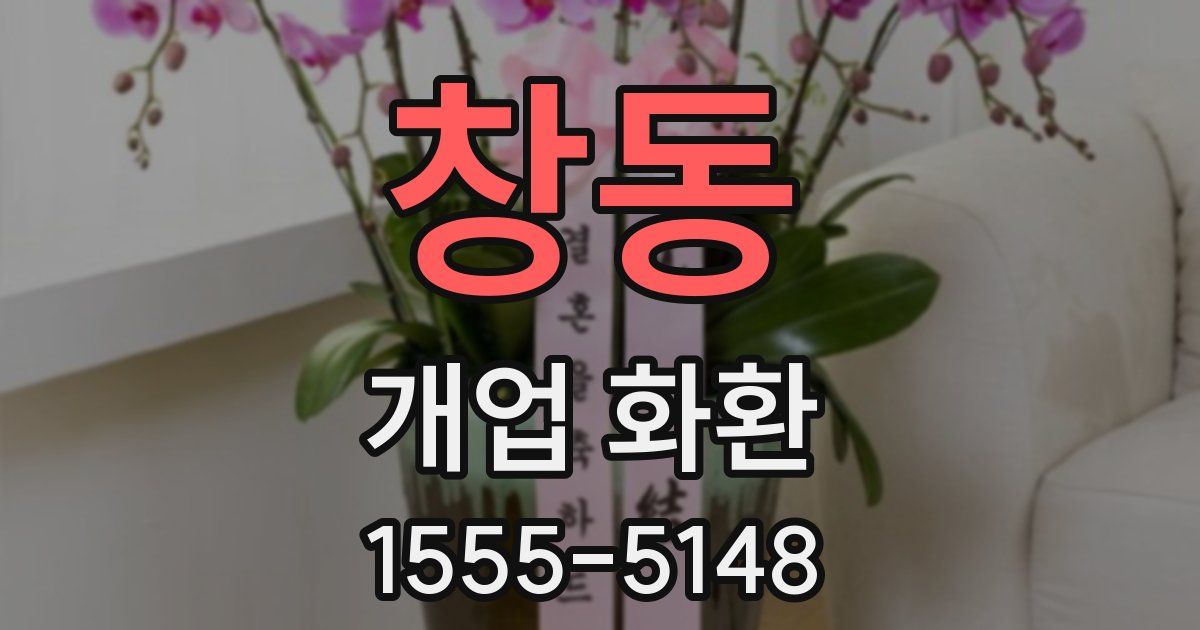 창동 개업 화환