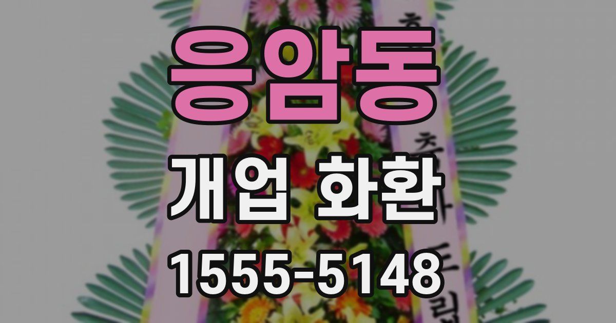 응암동 개업 화환