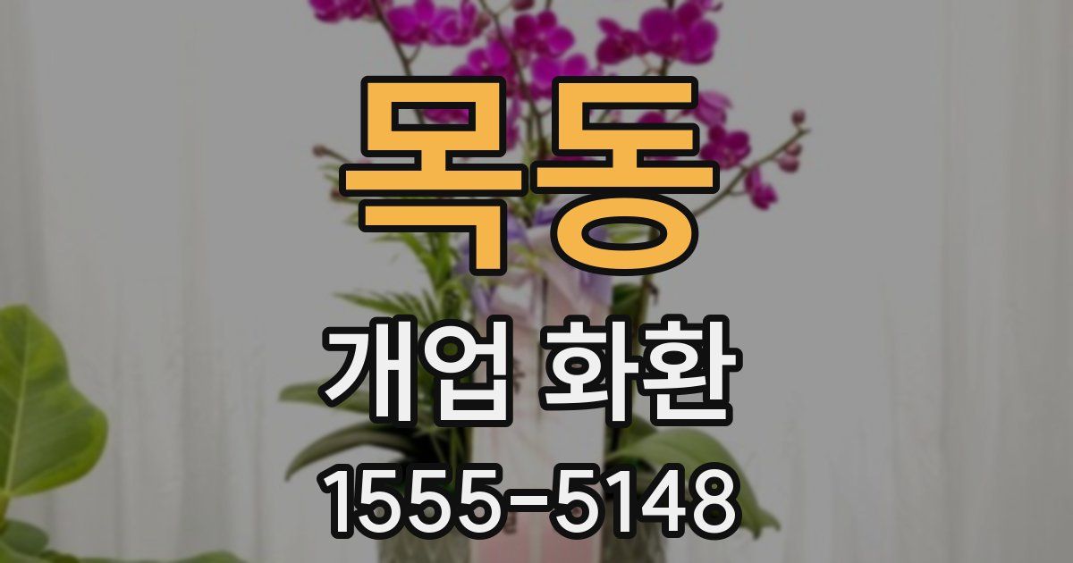 목동 개업 화환