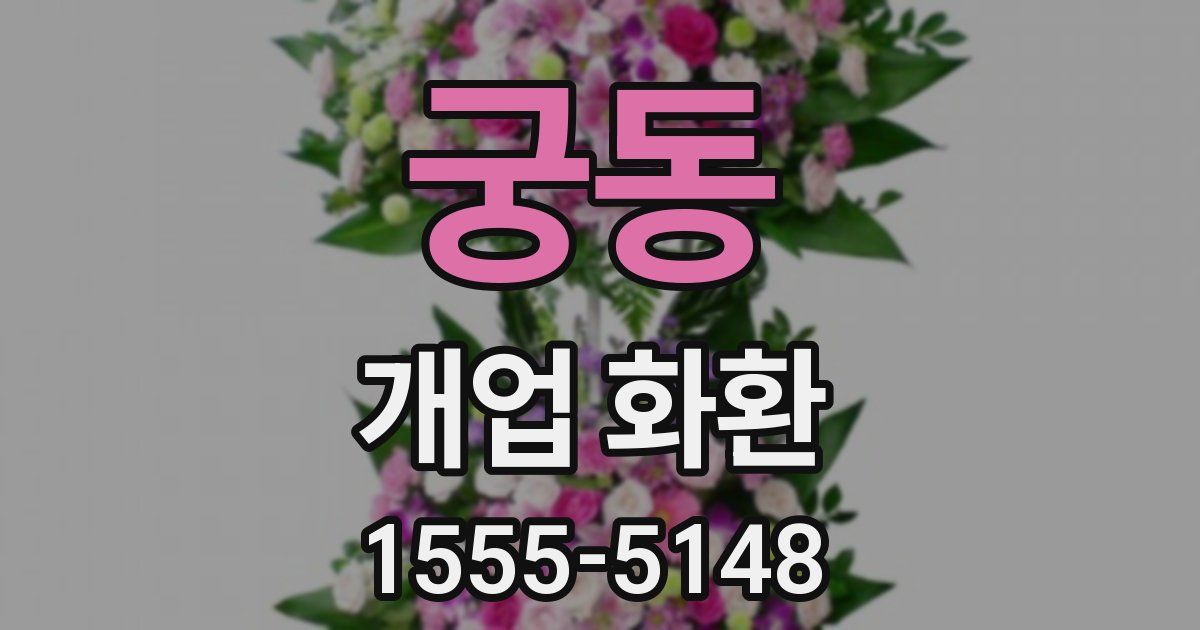 궁동 개업 화환