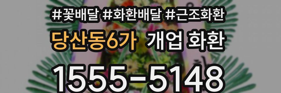 당산동6가 개업 화환