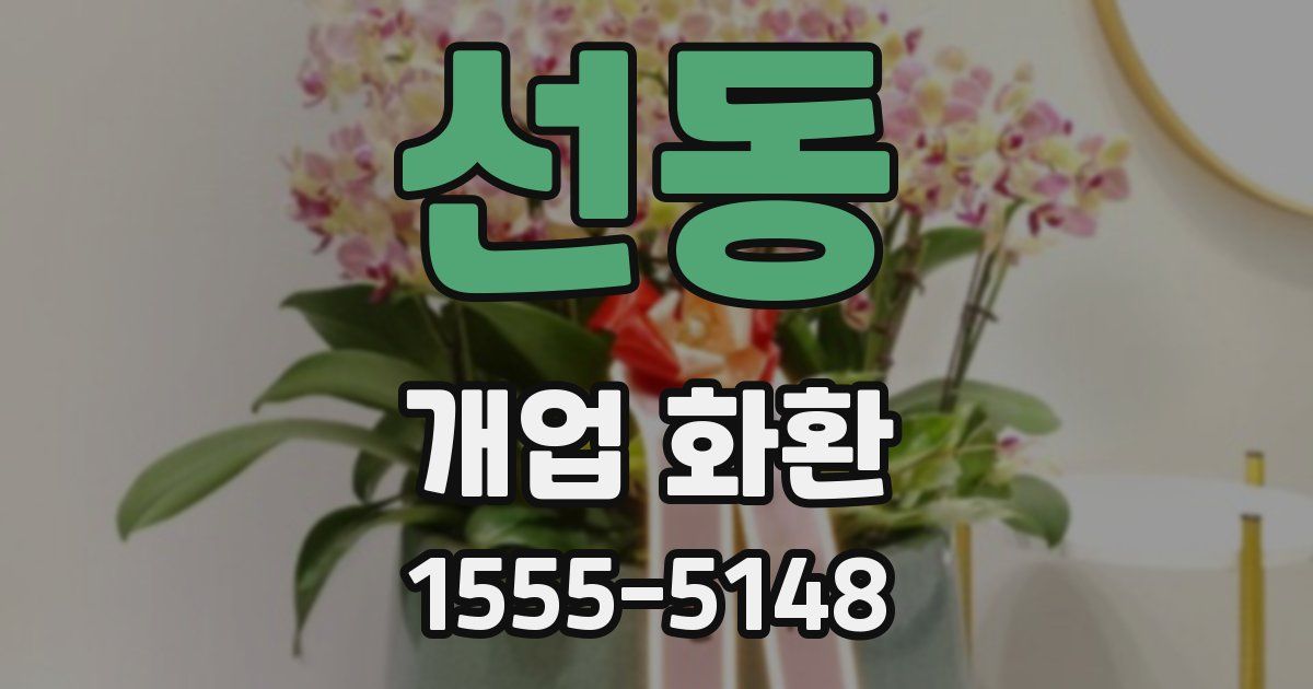선동 개업 화환