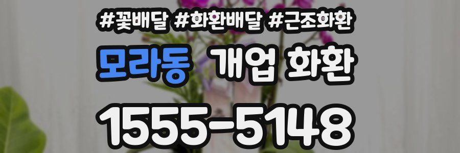 모라동 개업 화환
