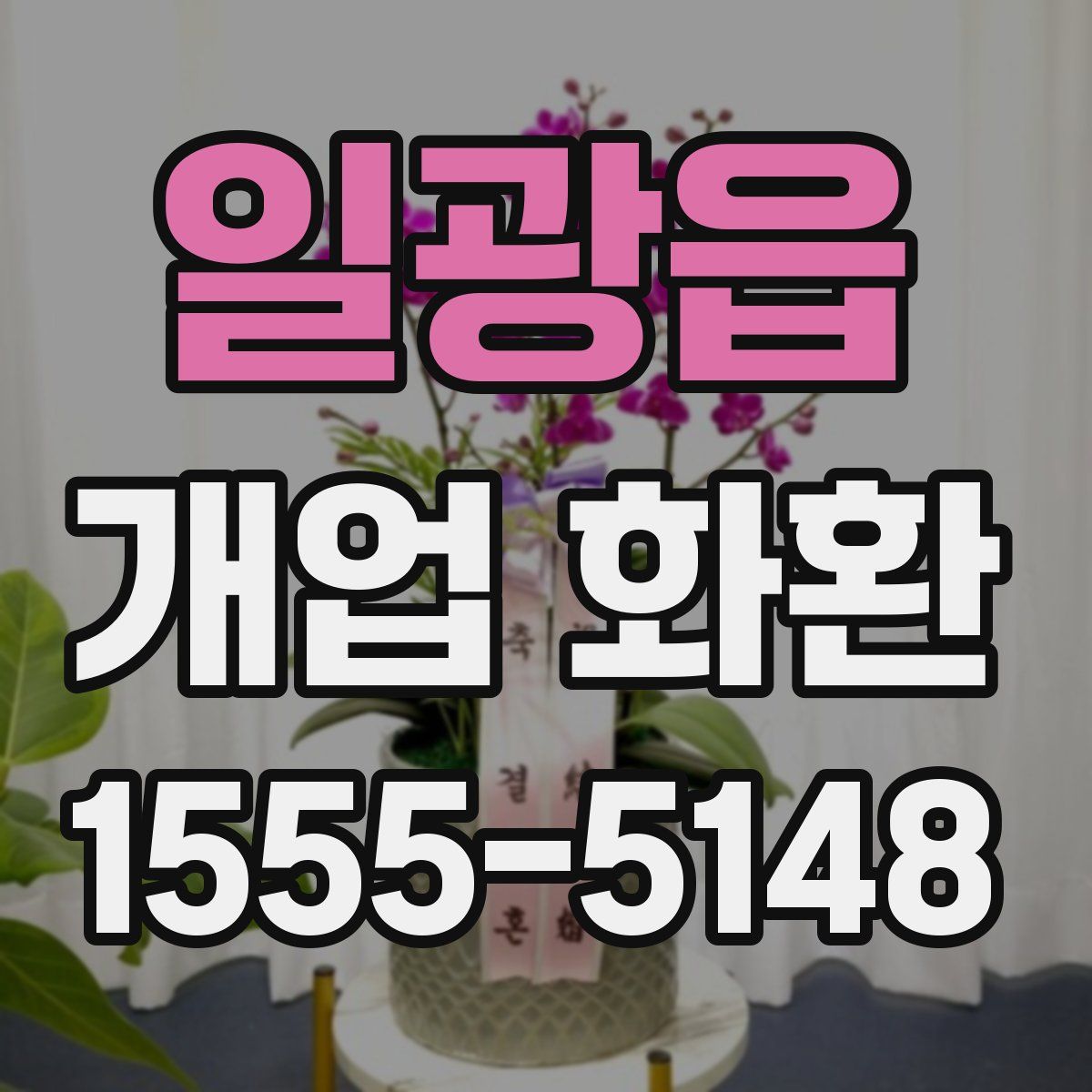 일광읍 개업 화환