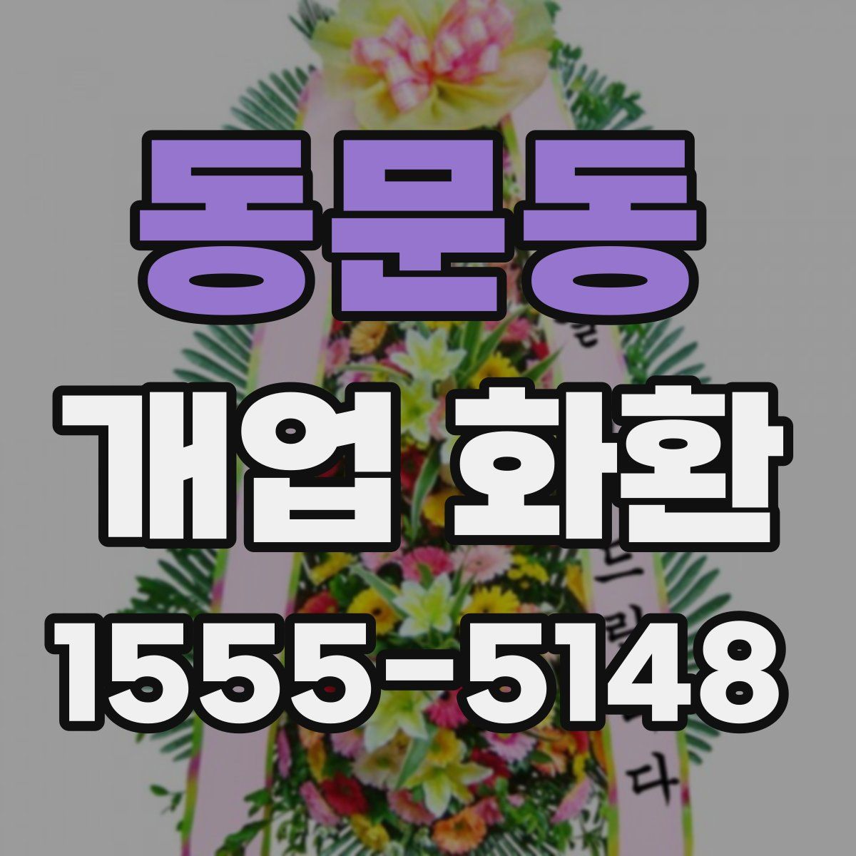 동문동 개업 화환