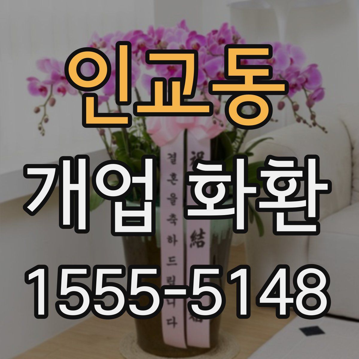 인교동 개업 화환