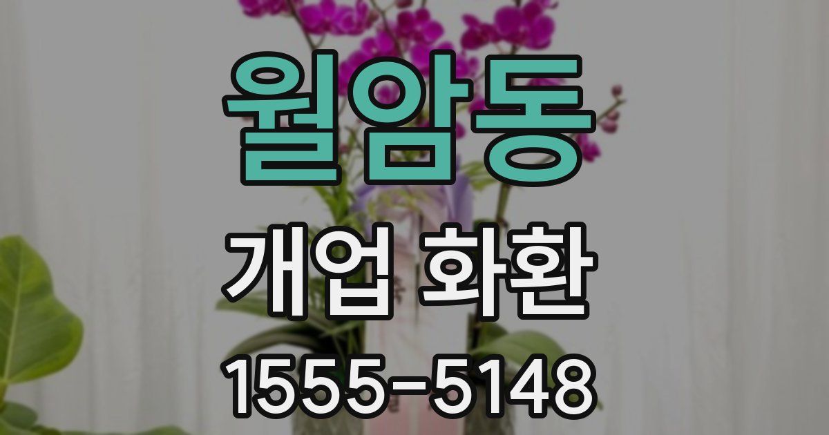 월암동 개업 화환