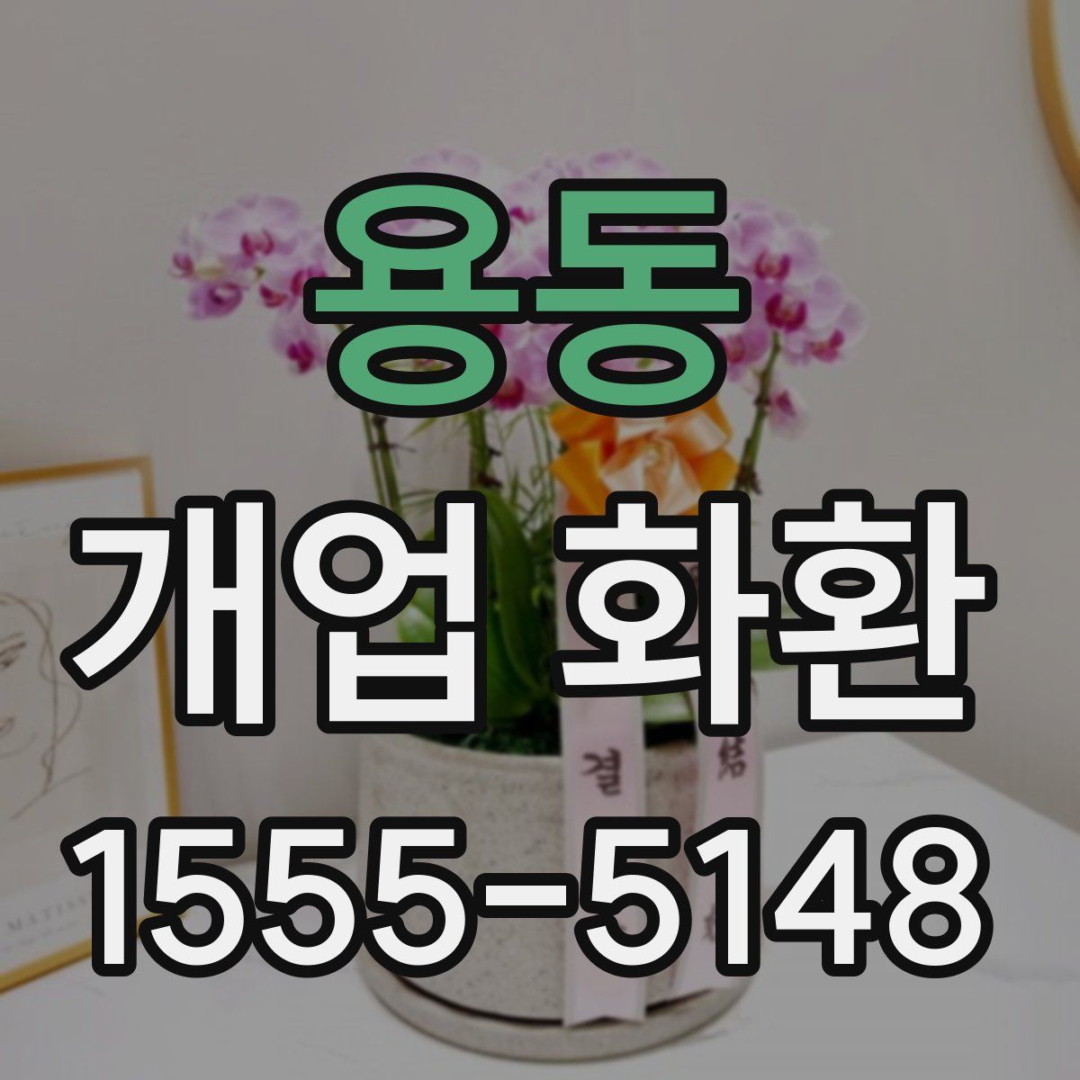 용동 개업 화환