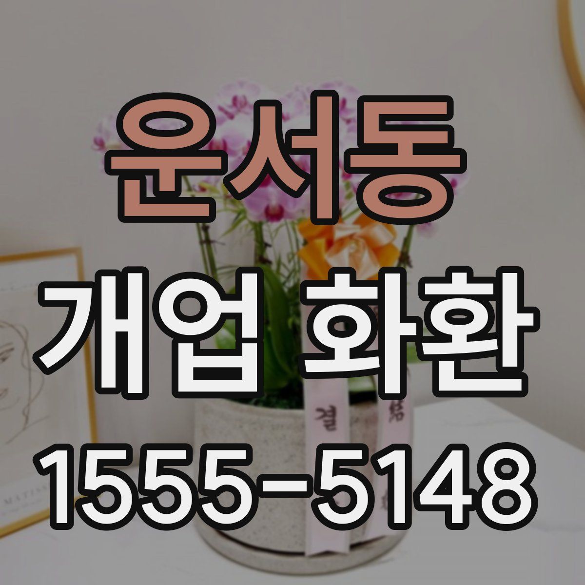 운서동 개업 화환