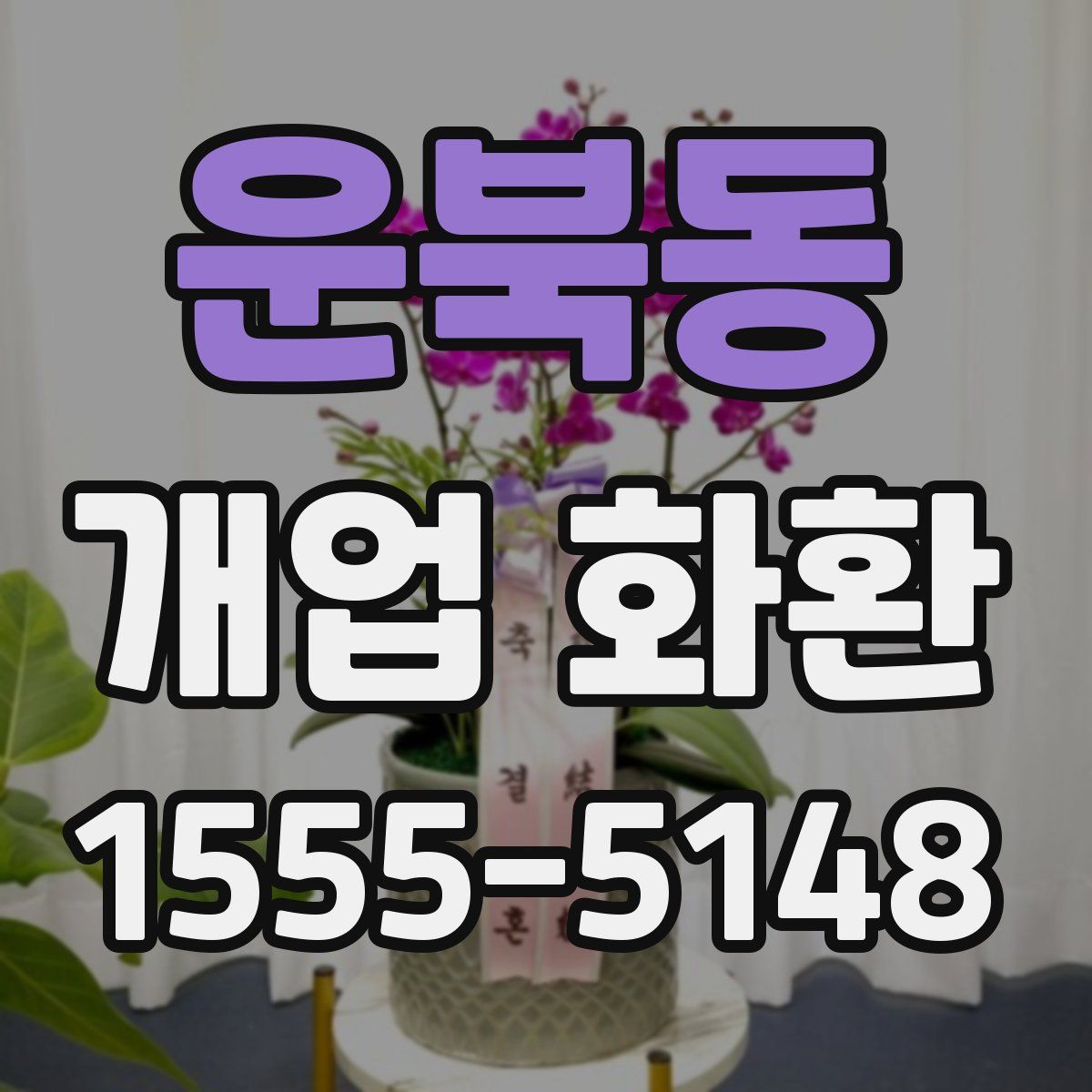 운북동 개업 화환