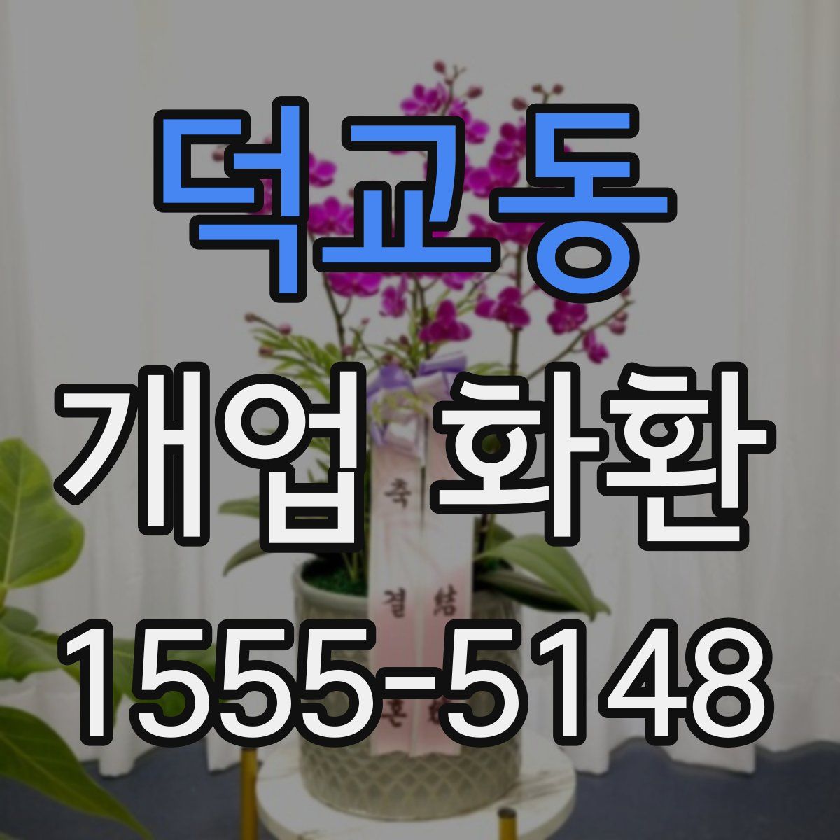 덕교동 개업 화환