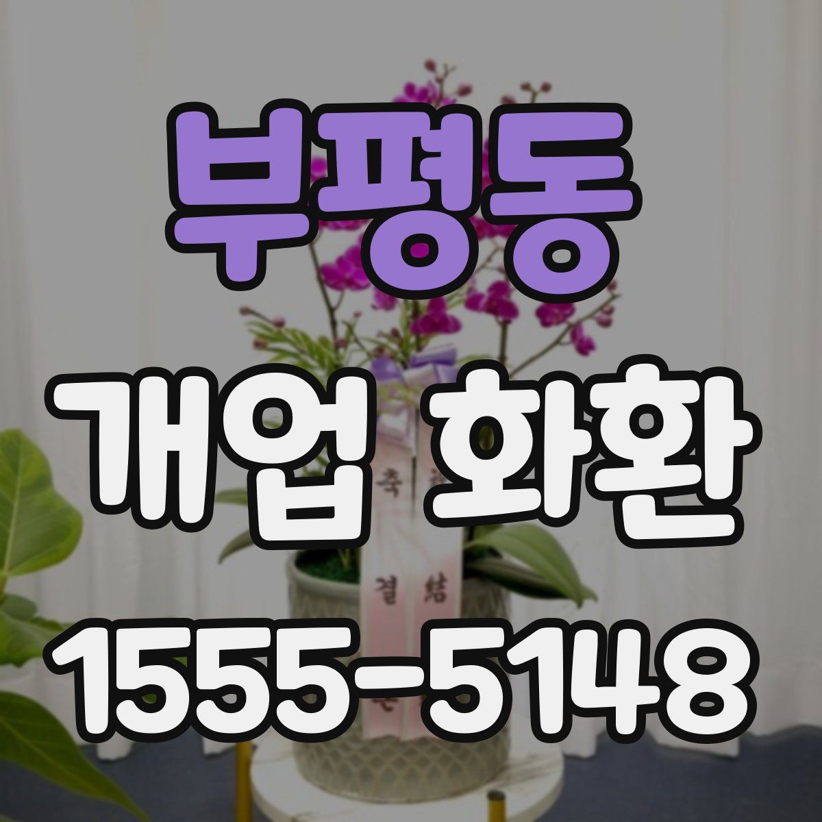 부평동 개업 화환