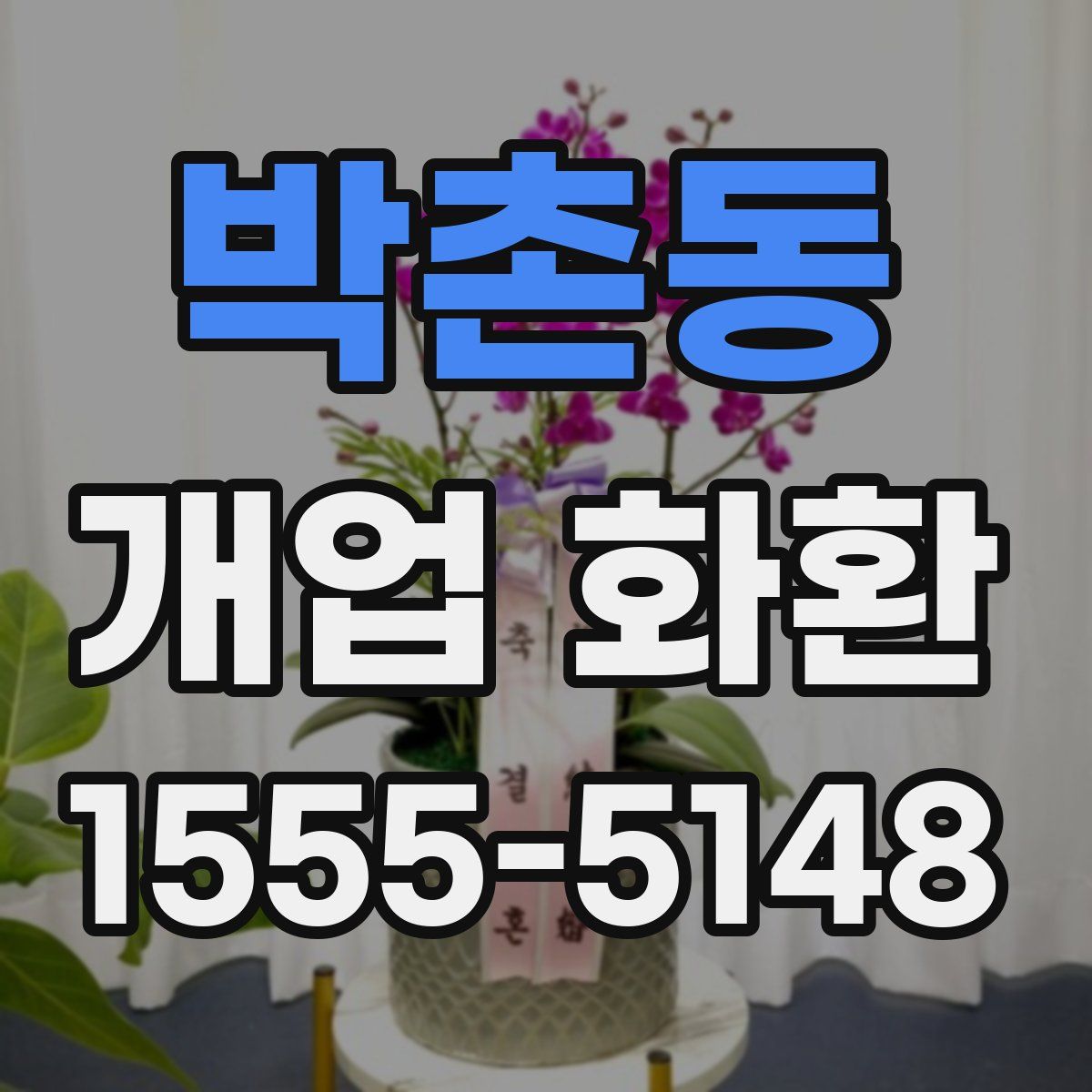 박촌동 개업 화환