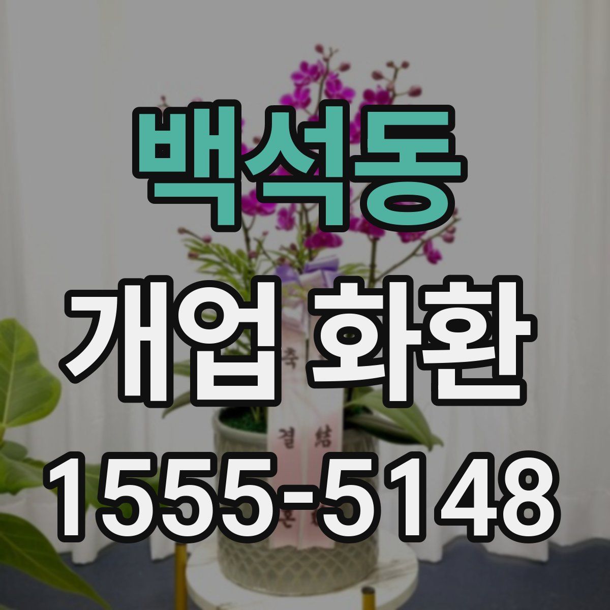 백석동 개업 화환