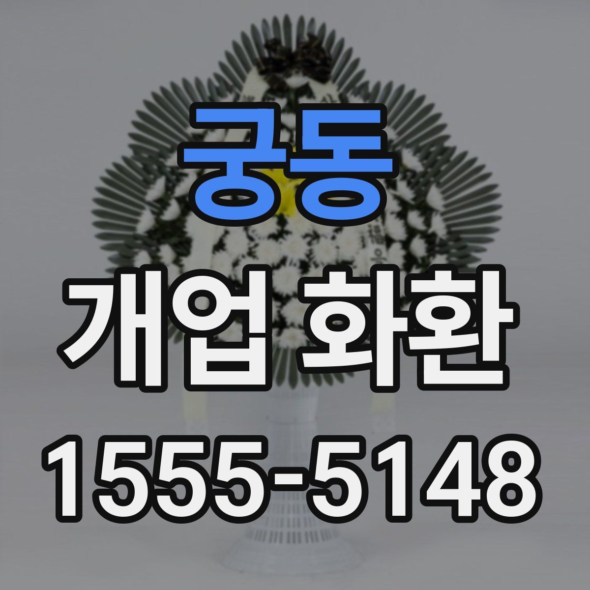 궁동 개업 화환