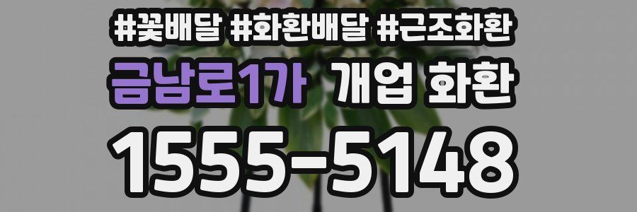금남로1가 개업 화환
