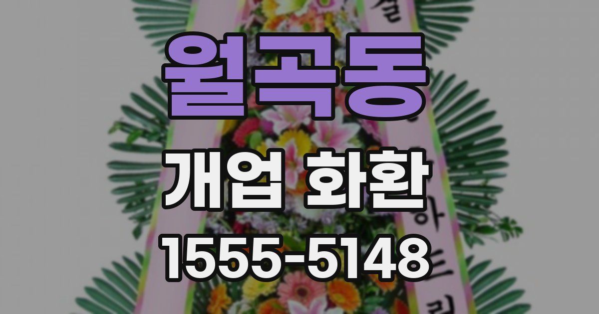 월곡동 개업 화환