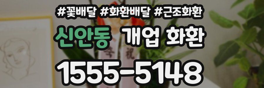 신안동 개업 화환