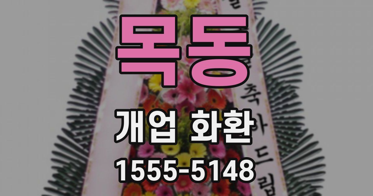 목동 개업 화환