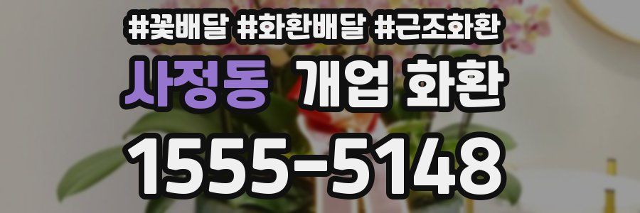 사정동 개업 화환