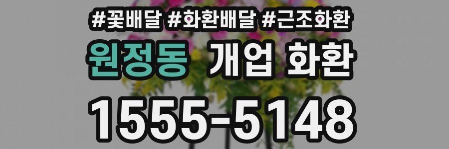 원정동 개업 화환