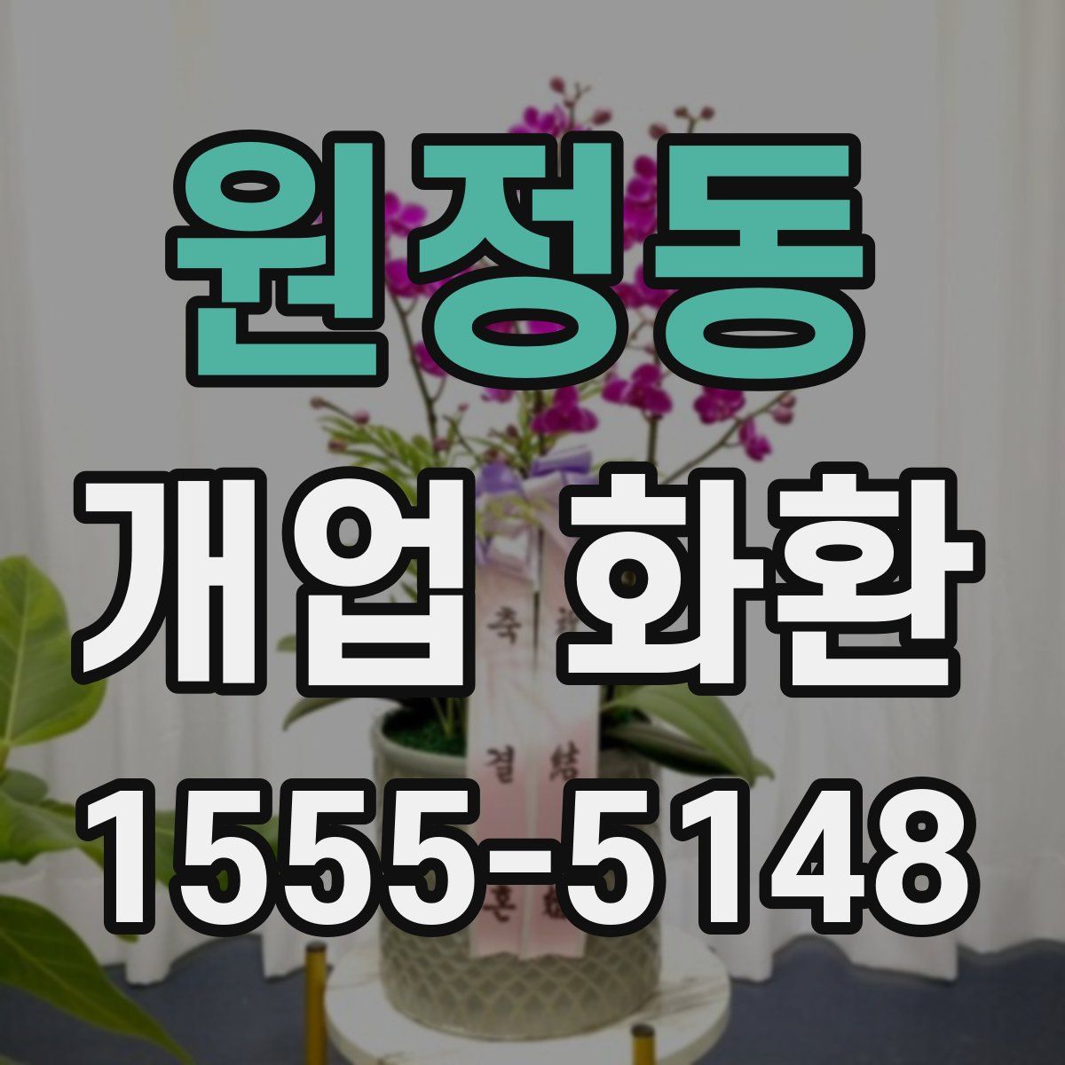 원정동 개업 화환