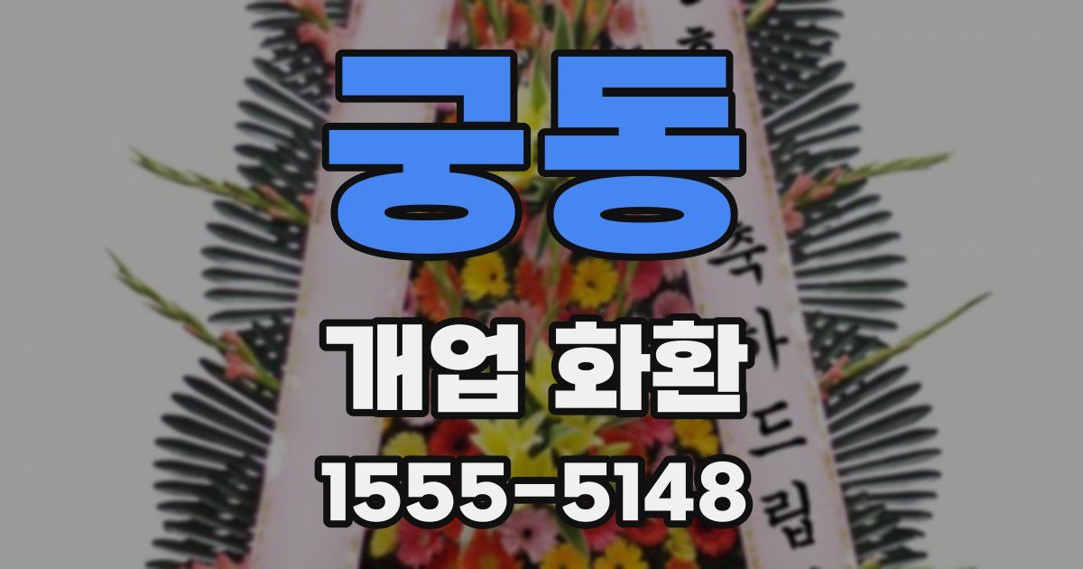 궁동 개업 화환