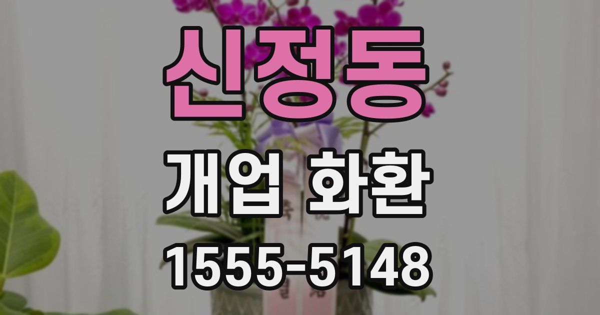 신정동 개업 화환