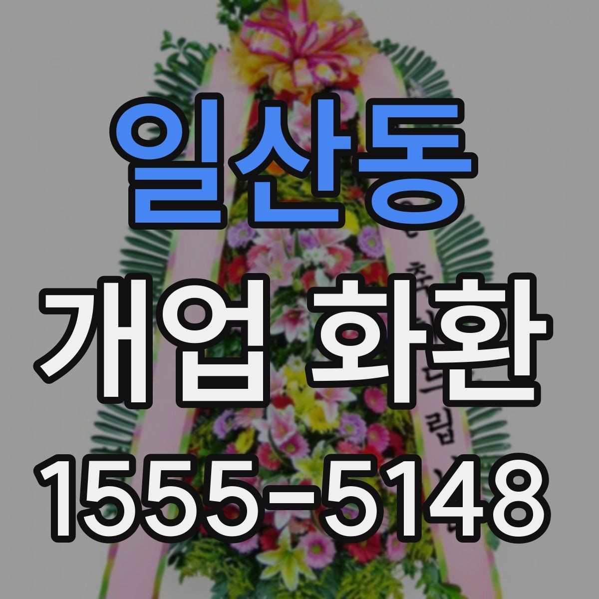 일산동 개업 화환