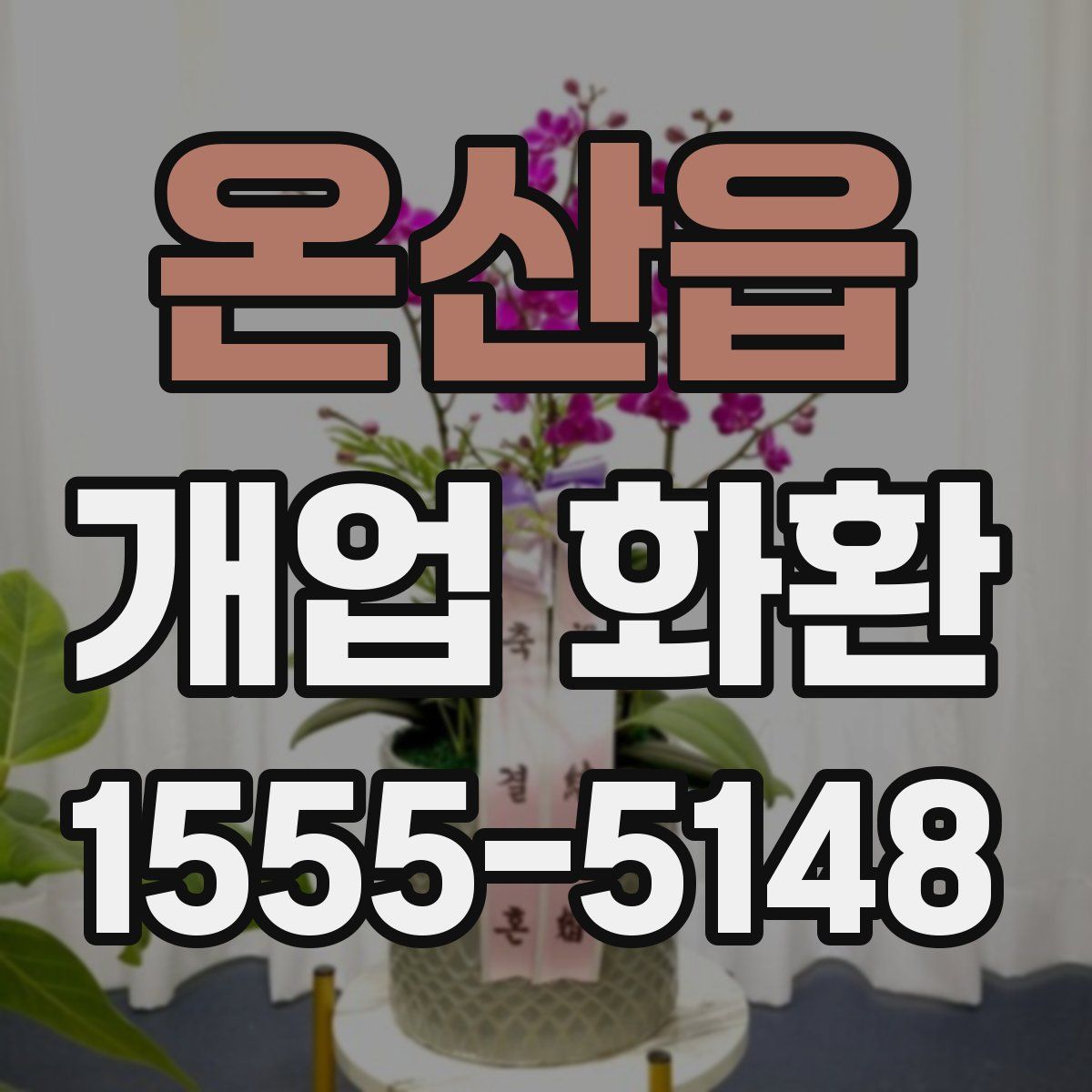온산읍 개업 화환