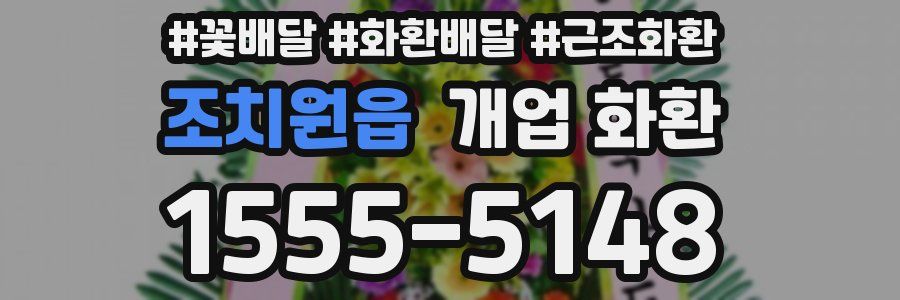 조치원읍 개업 화환