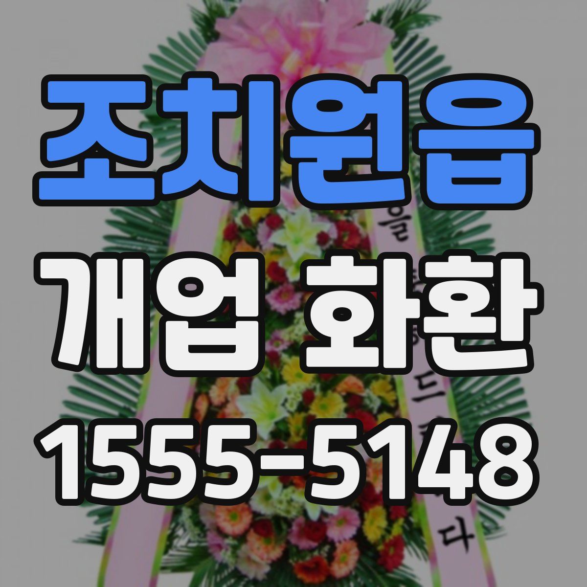 조치원읍 개업 화환