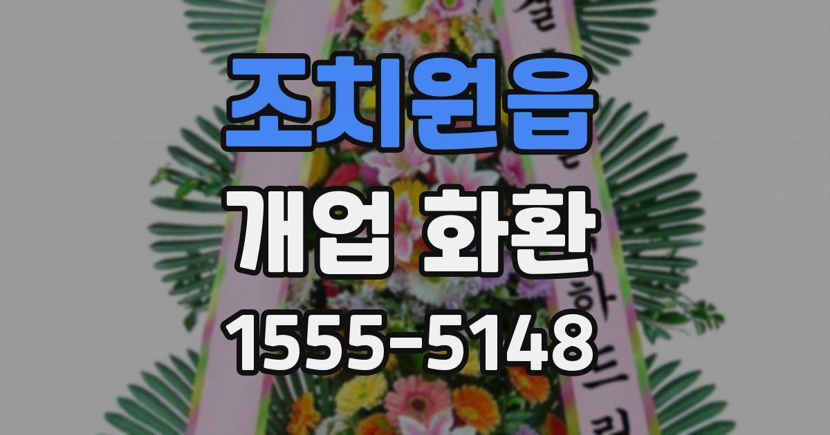 조치원읍 개업 화환