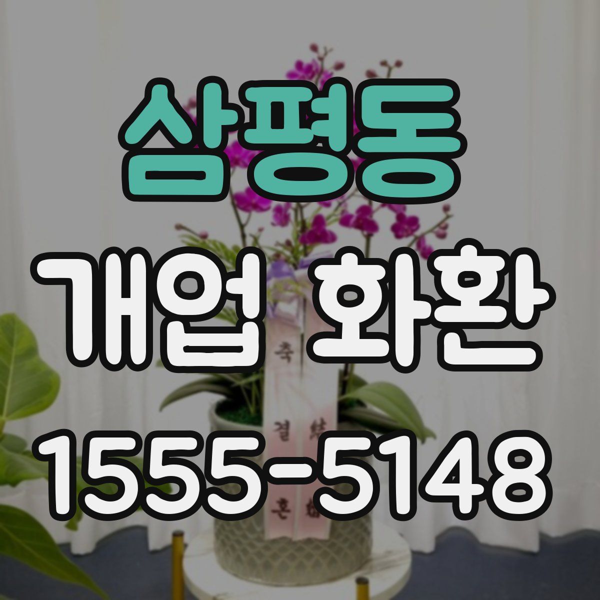 삼평동 개업 화환