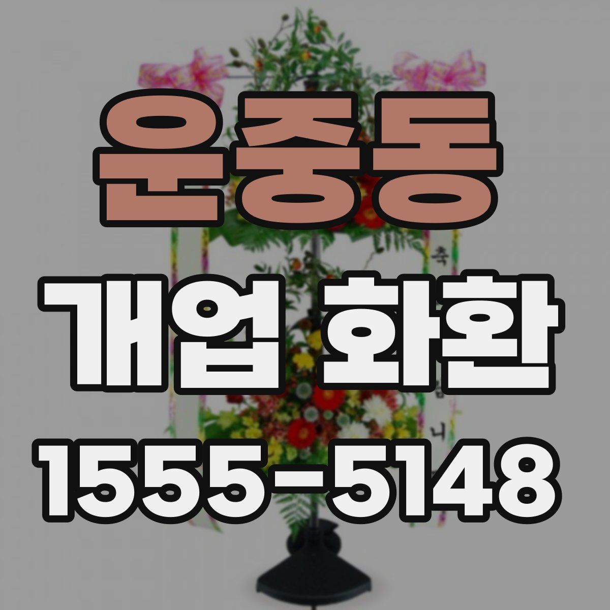 운중동 개업 화환