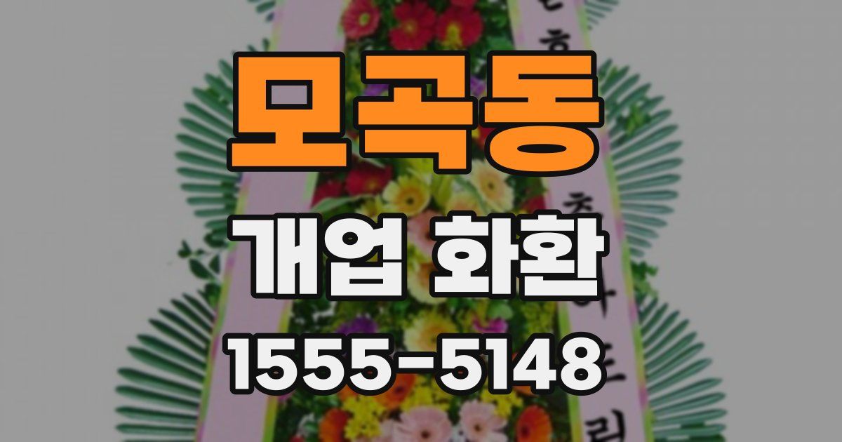 모곡동 개업 화환
