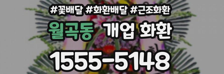 월곡동 개업 화환