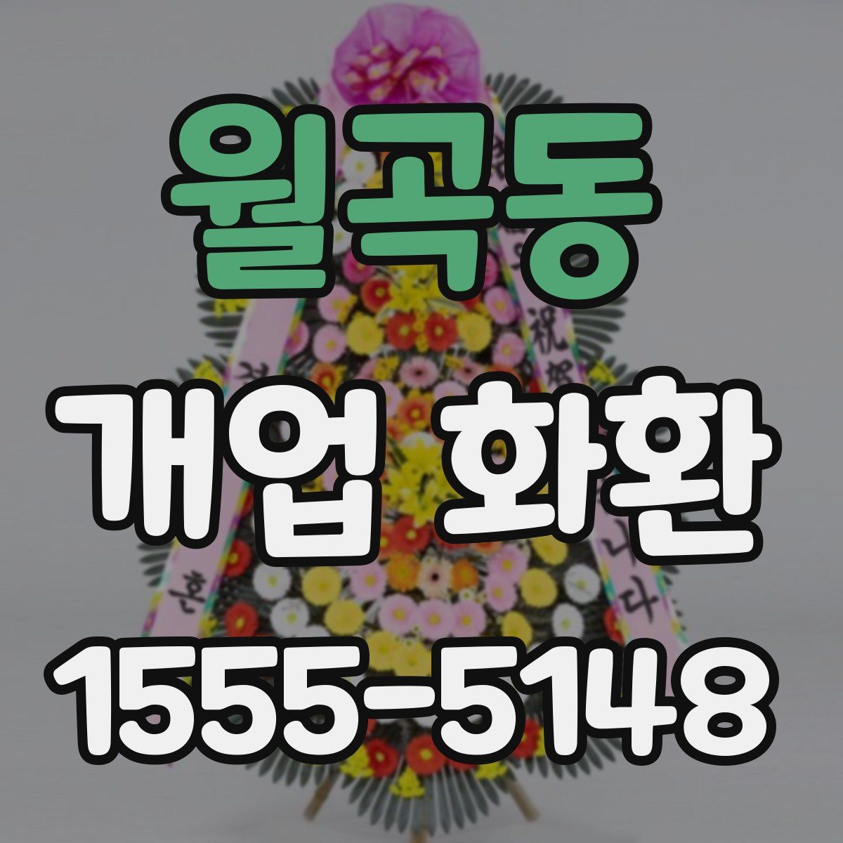 월곡동 개업 화환