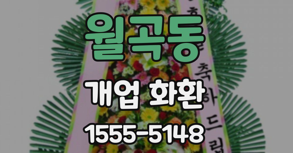 월곡동 개업 화환