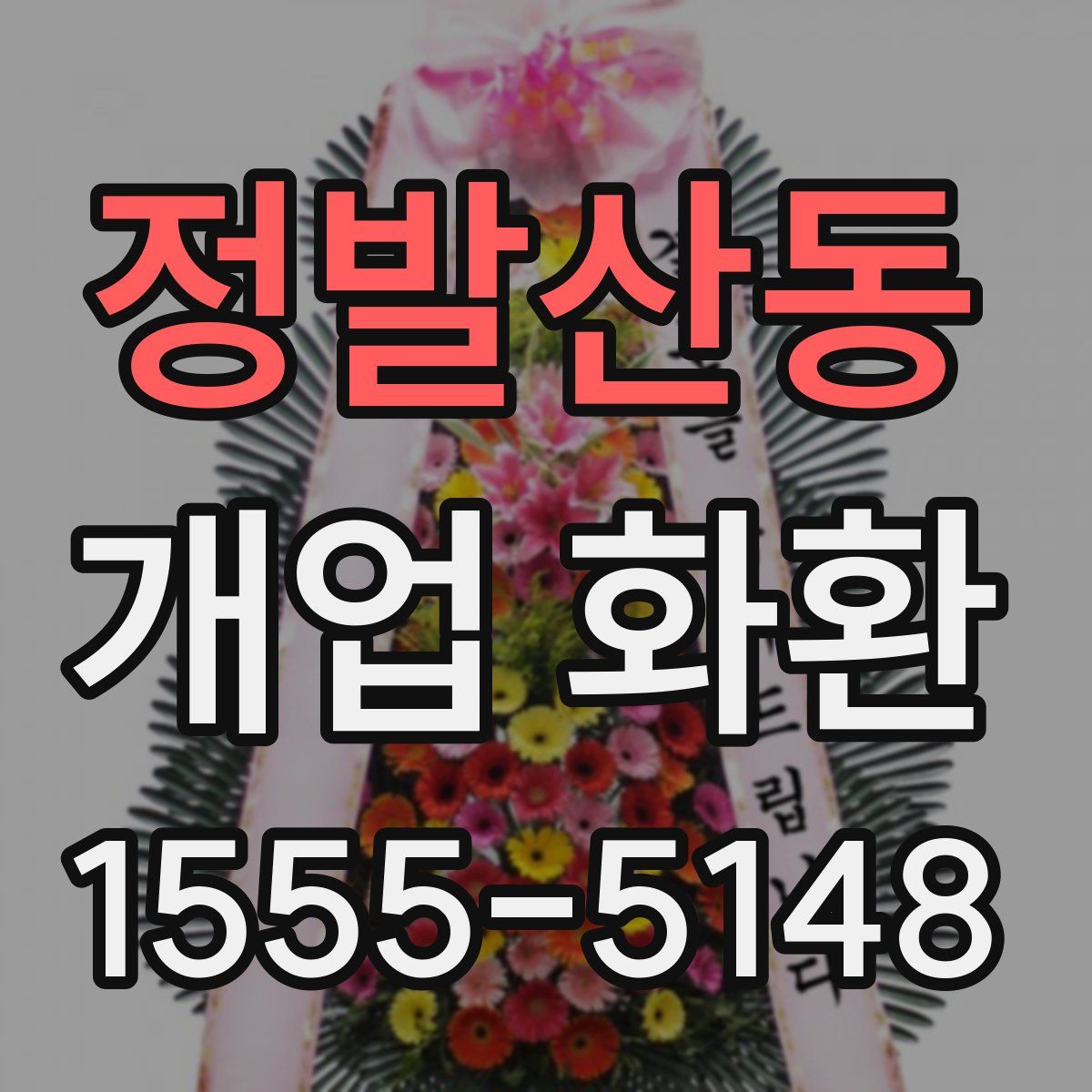 정발산동 개업 화환