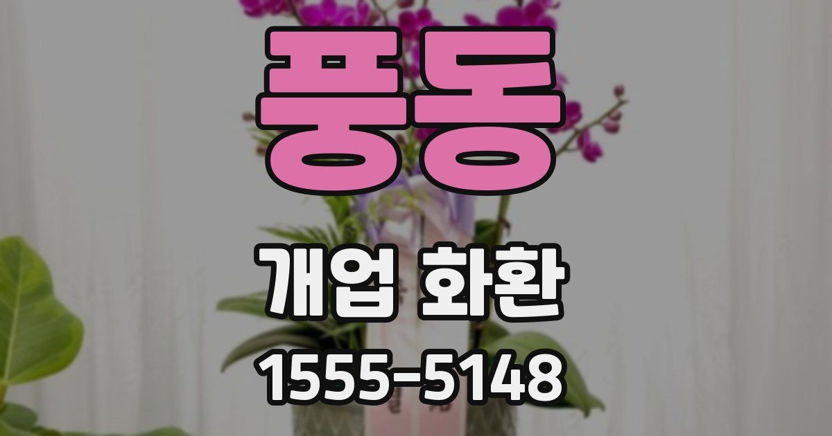 풍동 개업 화환