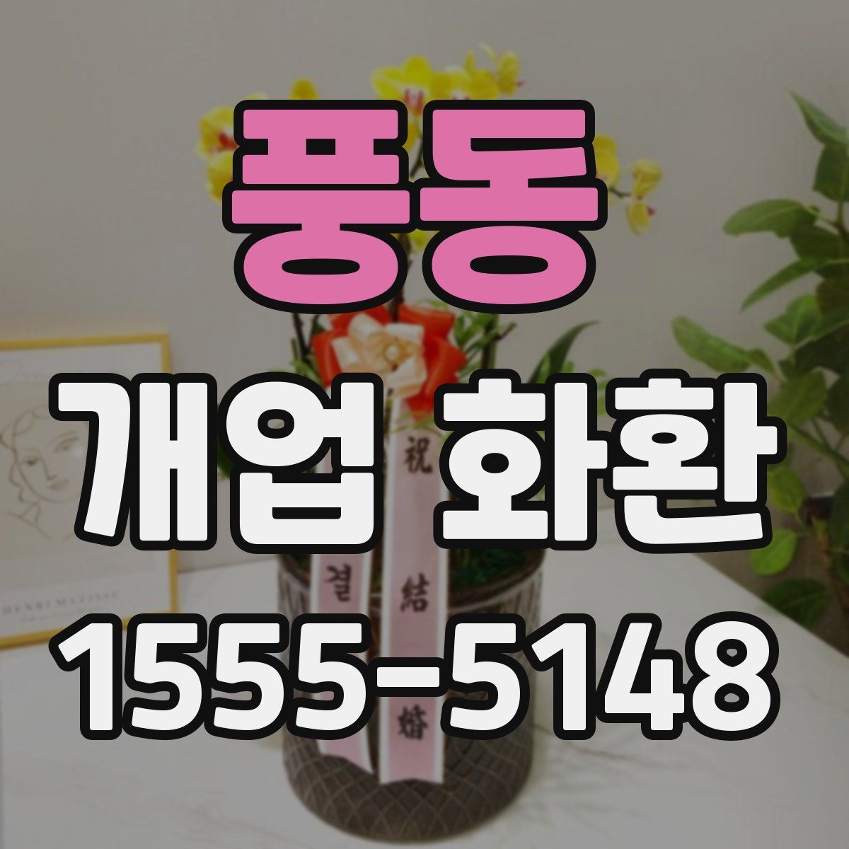 풍동 개업 화환